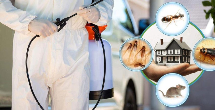 Çavdarhisar Böcek İlaçlama