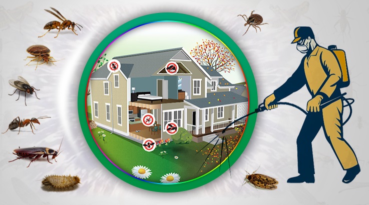 Çavdarhisar Böcek İlaçlama