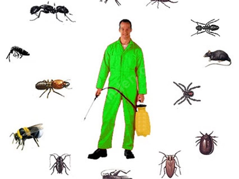 Çavdarhisar Böcek İlaçlama